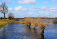 Подготовка к паводку и пожароопасному периоду