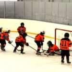 Хоккей Золотая шайба дети — 2 второй период (12)