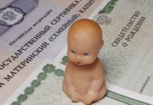 С начала года почти 1700 свердловских семей направили материнский капитал на образование детей