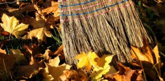 субботник, листья, метла, уборка, осень
