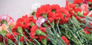 Новому парку – новое название