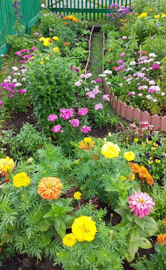 Благоухает цветочными ароматами и бурлит разноцветьем сад С.Сохранновой.