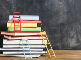 Модельные библиотеки нового поколения книги обучение образование