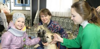 Дай лапу, друг!