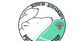 Здоровая планета, здоровые – мы