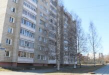 Спасите наши берёзки!