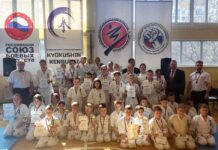 Всестилевое карате