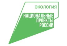 «Общий сбор» эковолонтёров