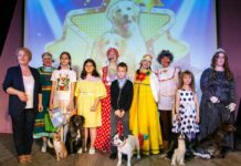 Шоу четвероногих артистов