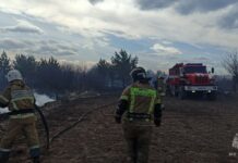 Остановить, пока не поздно