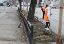 На субботник становись!