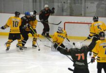 Хоккей – день за днём