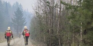 Более 4,6 тысячи гектаров леса потушено за сутки на Среднем Урале