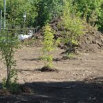 Сквер Дружба_08