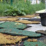 УКС парк площадки