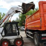 Школьный проезд корова_05