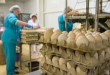 Куда «несутся» цены?