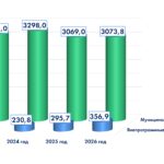 Бюджет инфографика 2024_page-0003