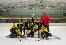 Хоккей с шайбой: «Вызов Чемпионов»