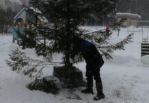 Без пяти минут 2024-й