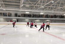 «Золотая шайба»