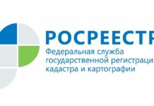 Свердловский Росреестр разъясняет: как изменить вид разрешенного использования земельного участка