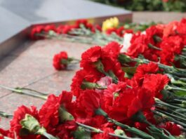 Главный праздник страны: как Лесной отметит 81-ю годовщину Великой Победы