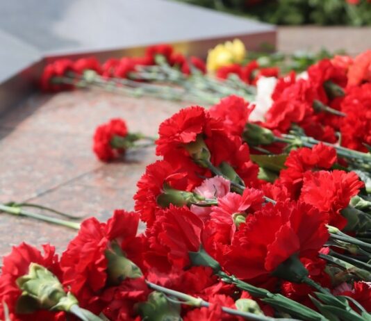 Главный праздник страны: как Лесной отметит 81-ю годовщину Великой Победы