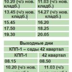 Расписание 7