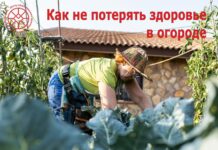 Как не потерять здоровье в огороде