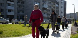 Памятка собаковода: обязанности и ответственность