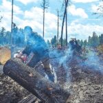 Полное покрытие: особый противопожарный режим во всей Свердловской области