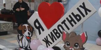 «Дари надежду» – день, когда сердца открываются для животных
