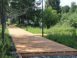 Всё больше виден результат