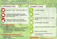 Памятка грибникам