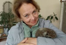 Оказывается, есть ещё и крысотерапия!