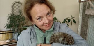 Оказывается, есть ещё и крысотерапия!