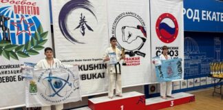 Всестилевое карате