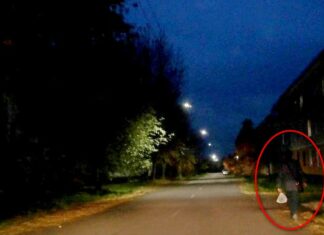 Тёмный-тёмный пешеход