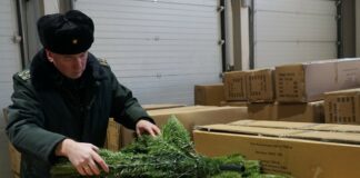 Праздничный бум: из Китая на Урал поступило более 10 тонн ёлочных украшений