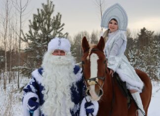 Знакомимся с живыми символами Нового, 2026 года