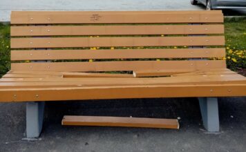 Видимо, они боятся павильонов и скамеек, раз так на них реагируют…