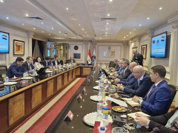 бизнес-миссия Египет (4)