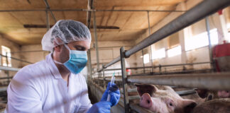 Тревожные новости для животноводов