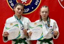 Дзюдо: на первенстве области