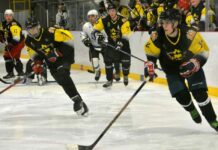 Хоккей с шайбой