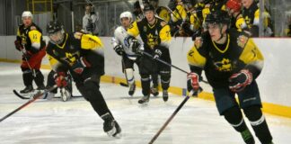 Хоккей с шайбой