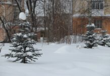 Была – и пропала!