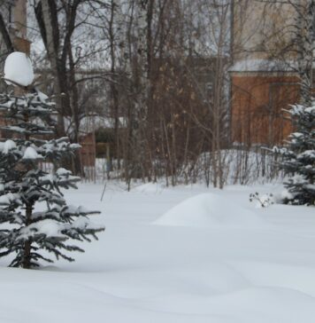 Была – и пропала!