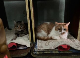 Энергия добра